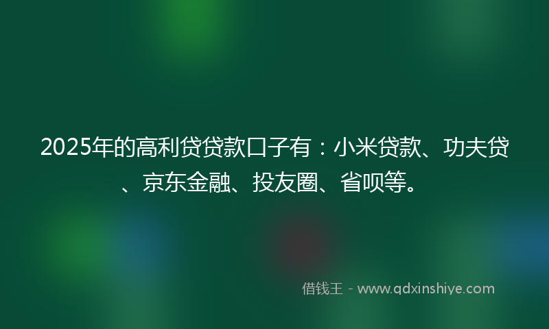 2025年的高利贷贷款口子有：小米贷款、功夫贷、京东金融、投友圈、省呗等。
