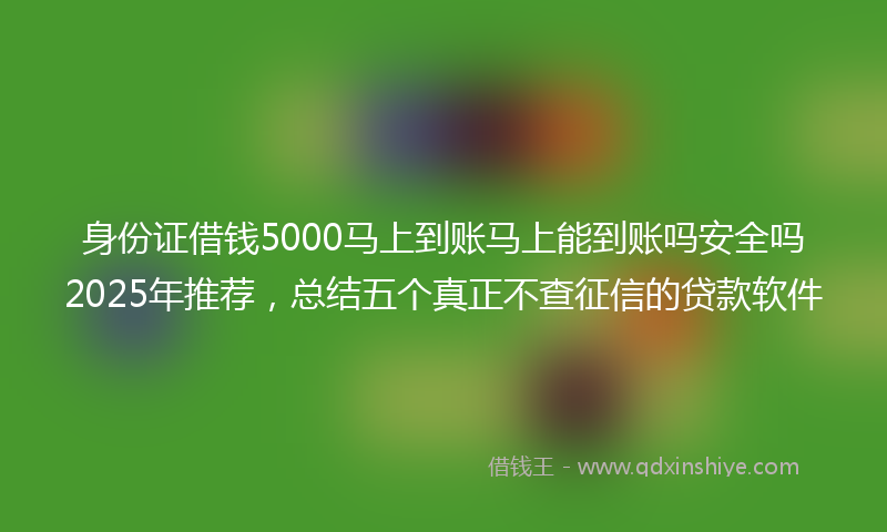 身份证借钱5000马上到账马上能到账吗安全吗2025年推荐，总结五个真正不查征信的贷款软件