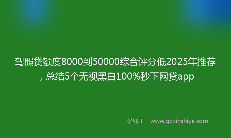 驾照贷额度8000到50000综合评分低2025年推荐，总结5个无视黑白100%秒下网贷app