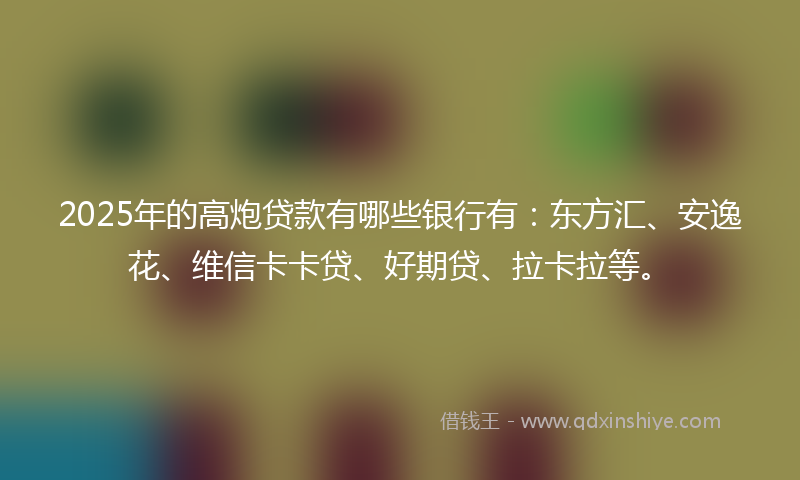 2025年的高炮贷款有哪些银行有：东方汇、安逸花、维信卡卡贷、好期贷、拉卡拉等。