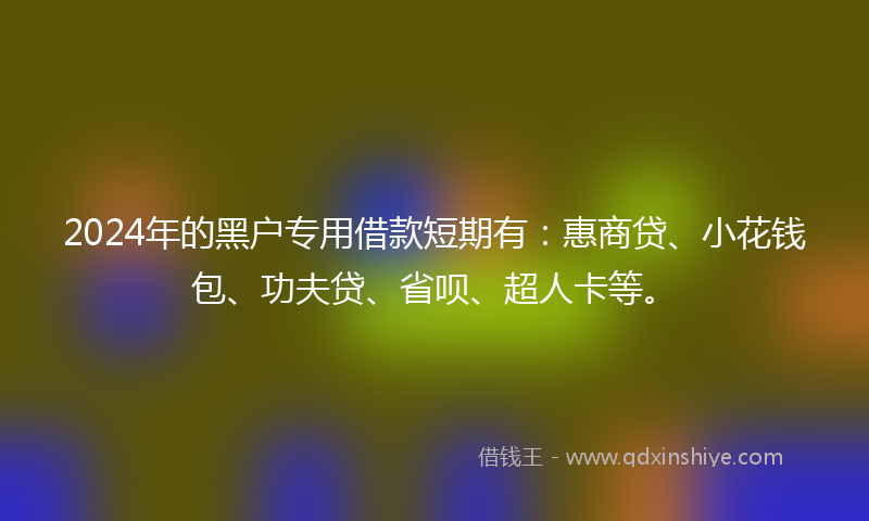 2024年的黑户专用借款短期有：惠商贷、小花钱包、功夫贷、省呗、超人卡等。