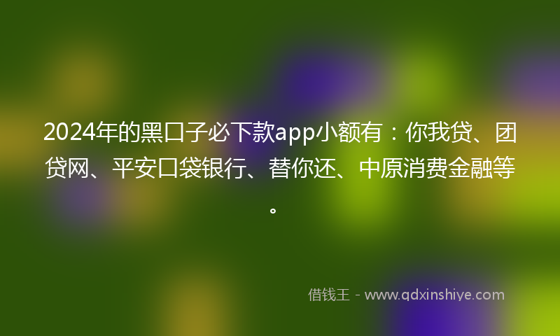 2024年的黑口子必下款app小额有：你我贷、团贷网、平安口袋银行、替你还、中原消费金融等。