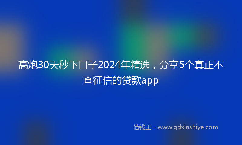高炮30天秒下口子2024年精选，分享5个真正不查征信的贷款app