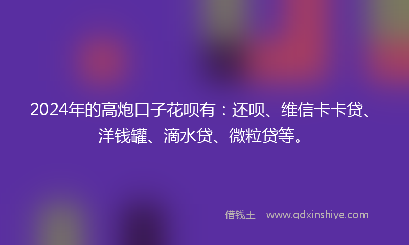 2024年的高炮口子花呗有：还呗、维信卡卡贷、洋钱罐、滴水贷、微粒贷等。