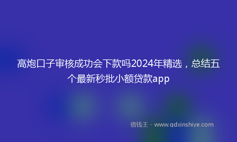 高炮口子审核成功会下款吗2024年精选，总结五个最新秒批小额贷款app