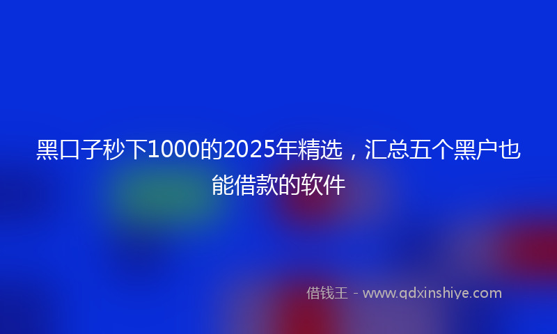 黑口子秒下1000的2025年精选，汇总五个黑户也能借款的软件