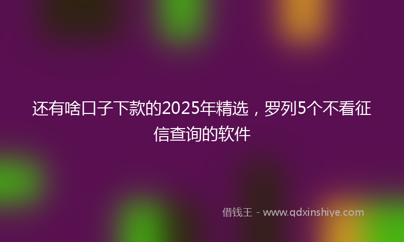 还有啥口子下款的2025年精选，罗列5个不看征信查询的软件