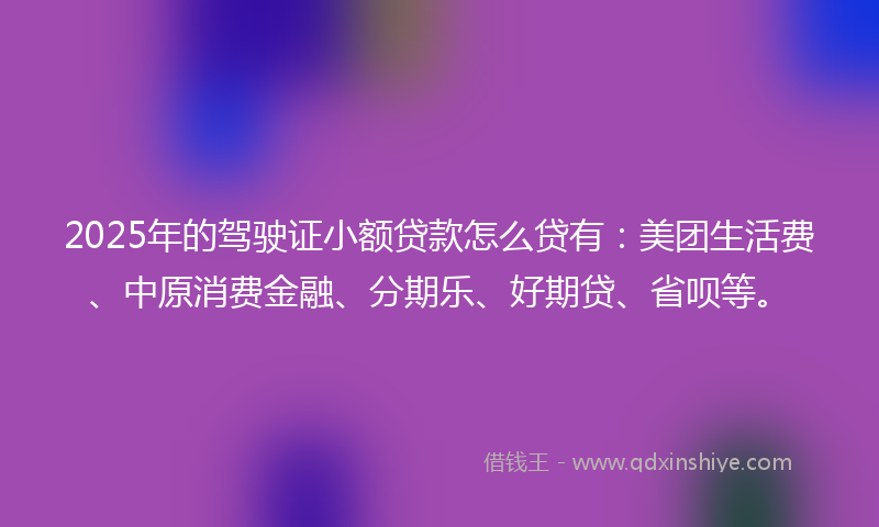 2025年的驾驶证小额贷款怎么贷有：美团生活费、中原消费金融、分期乐、好期贷、省呗等。
