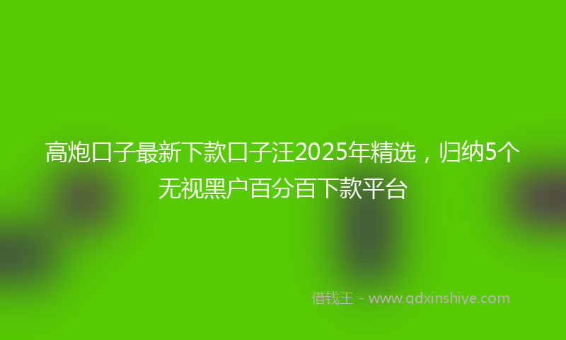 高炮口子最新下款口子汪2025年精选，归纳5个无视黑户百分百下款平台