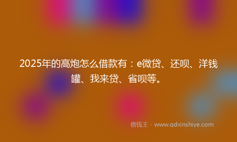 2025年的高炮怎么借款有：e微贷、还呗、洋钱罐、我来贷、省呗等。