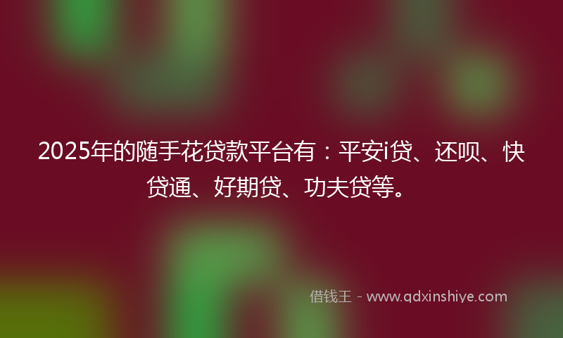 2025年的随手花贷款平台有：平安i贷、还呗、快贷通、好期贷、功夫贷等。