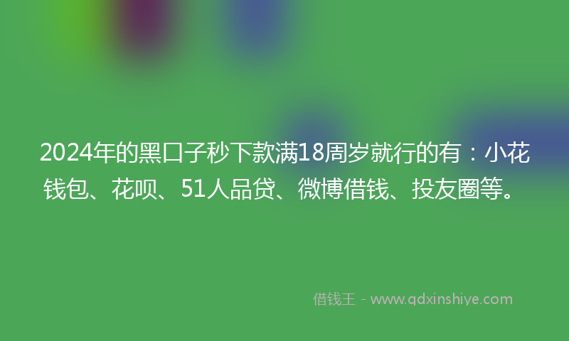 2024年的黑口子秒下款满18周岁就行的有：小花钱包、花呗、51人品贷、微博借钱、投友圈等。