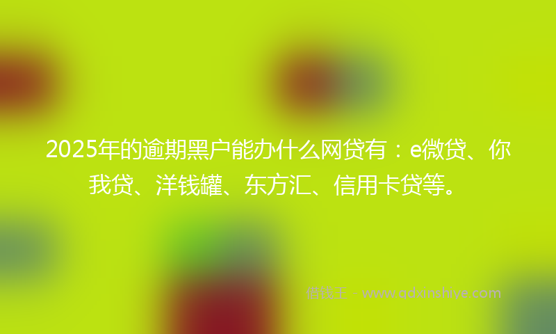 2025年的逾期黑户能办什么网贷有：e微贷、你我贷、洋钱罐、东方汇、信用卡贷等。