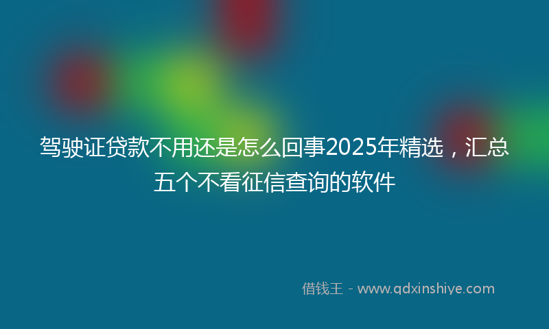 驾驶证贷款不用还是怎么回事2025年精选，汇总五个不看征信查询的软件