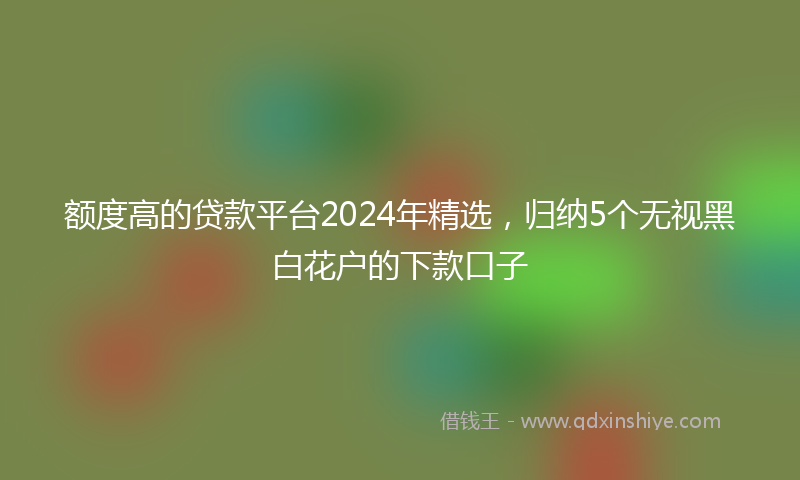 额度高的贷款平台2024年精选，归纳5个无视黑白花户的下款口子