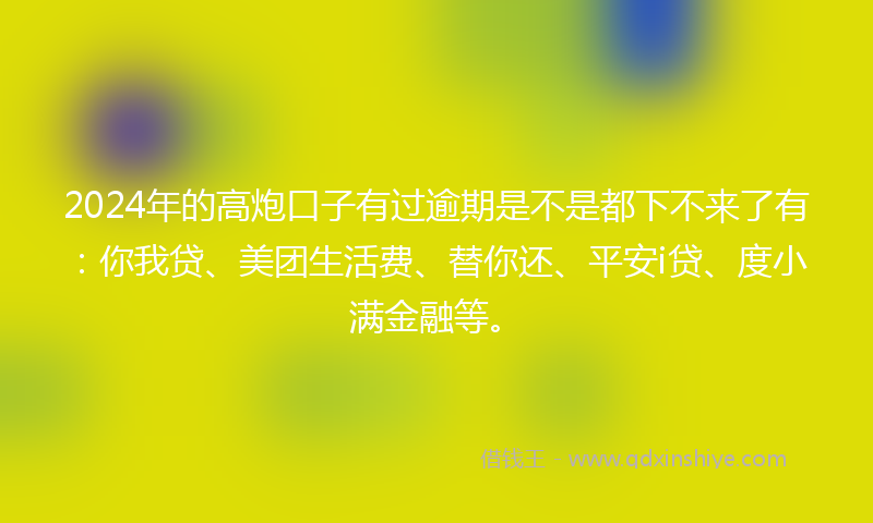 2024年的高炮口子有过逾期是不是都下不来了有：你我贷、美团生活费、替你还、平安i贷、度小满金融等。