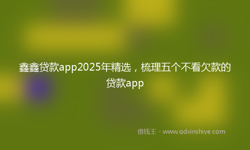 鑫鑫贷款app2025年精选，梳理五个不看欠款的贷款app