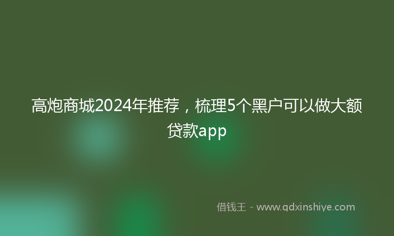 高炮商城2024年推荐，梳理5个黑户可以做大额贷款app