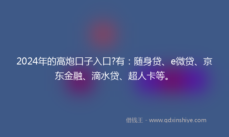 2024年的高炮口子入口?有：随身贷、e微贷、京东金融、滴水贷、超人卡等。