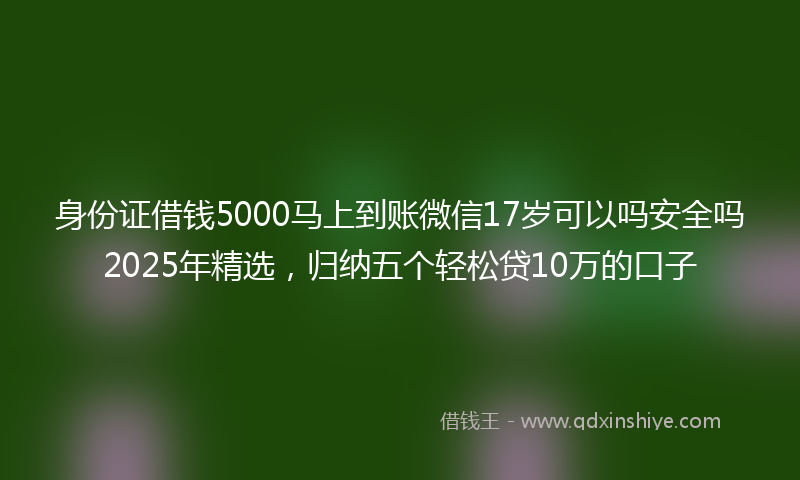 身份证借钱5000马上到账微信17岁可以吗安全吗2025年精选，归纳五个轻松贷10万的口子