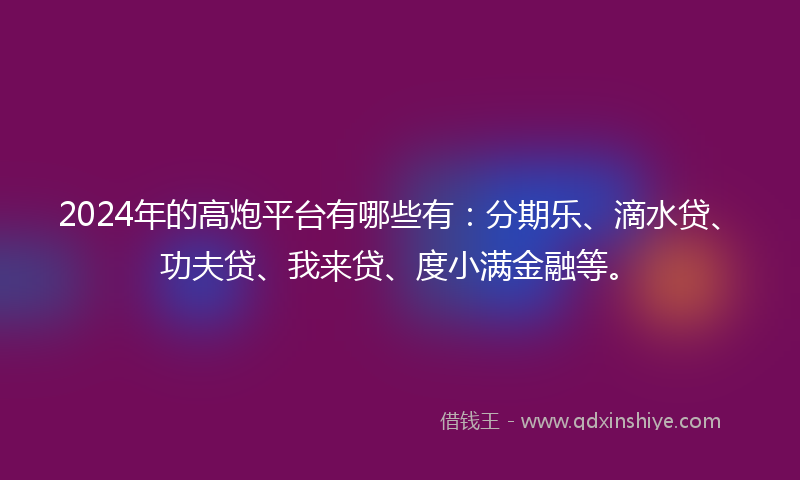 2024年的高炮平台有哪些有：分期乐、滴水贷、功夫贷、我来贷、度小满金融等。