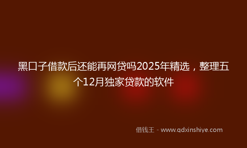 黑口子借款后还能再网贷吗2025年精选，整理五个12月独家贷款的软件