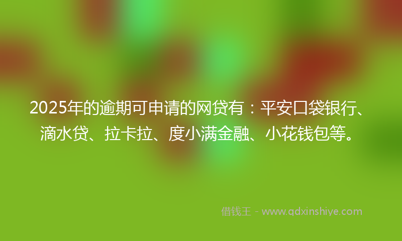 2025年的逾期可申请的网贷有：平安口袋银行、滴水贷、拉卡拉、度小满金融、小花钱包等。