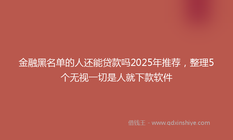 金融黑名单的人还能贷款吗2025年推荐，整理5个无视一切是人就下款软件