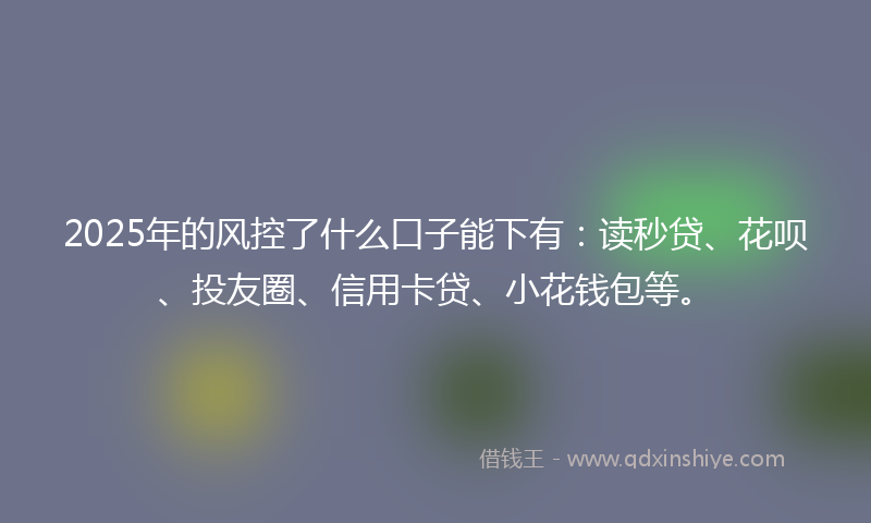 2025年的风控了什么口子能下有：读秒贷、花呗、投友圈、信用卡贷、小花钱包等。