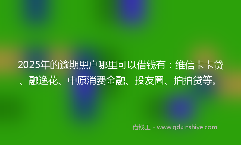 2025年的逾期黑户哪里可以借钱有：维信卡卡贷、融逸花、中原消费金融、投友圈、拍拍贷等。