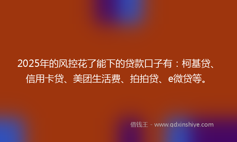 2025年的风控花了能下的贷款口子有：柯基贷、信用卡贷、美团生活费、拍拍贷、e微贷等。