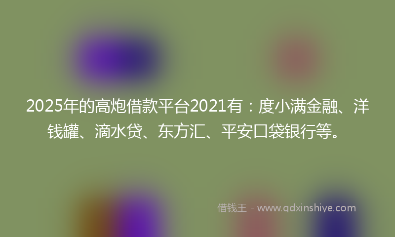 2025年的高炮借款平台2021有：度小满金融、洋钱罐、滴水贷、东方汇、平安口袋银行等。