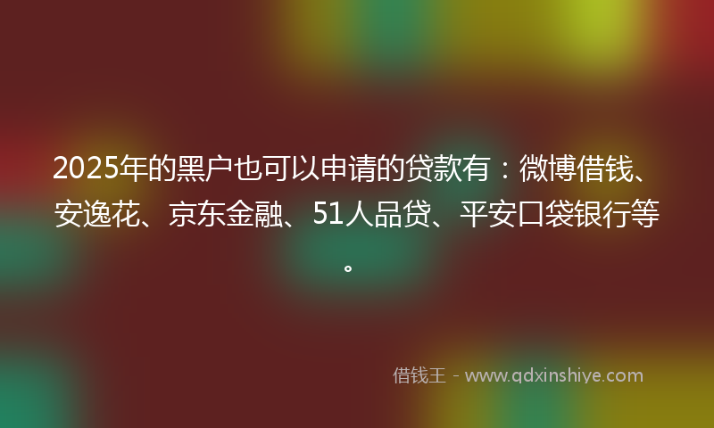 2025年的黑户也可以申请的贷款有：微博借钱、安逸花、京东金融、51人品贷、平安口袋银行等。