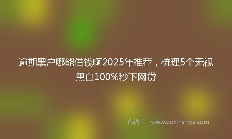 逾期黑户哪能借钱啊2025年推荐，梳理5个无视黑白100%秒下网贷