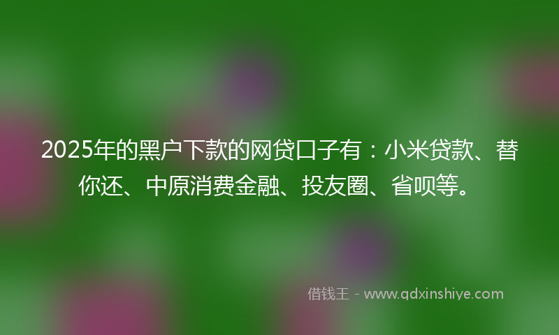 2025年的黑户下款的网贷口子有：小米贷款、替你还、中原消费金融、投友圈、省呗等。
