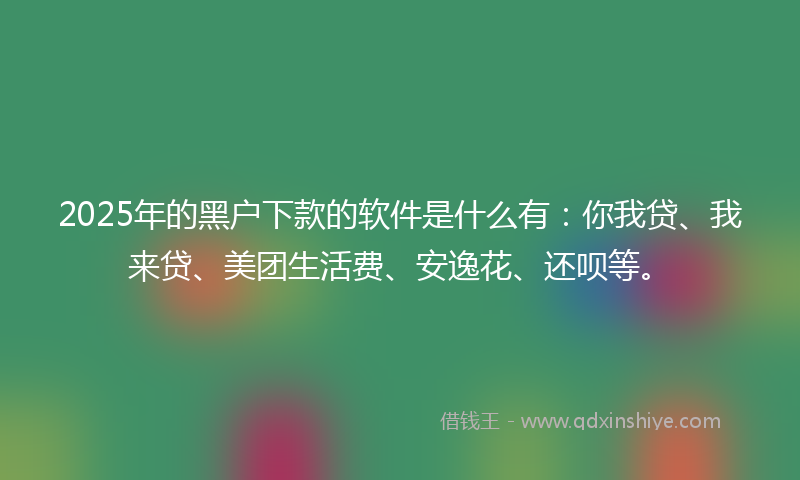 2025年的黑户下款的软件是什么有：你我贷、我来贷、美团生活费、安逸花、还呗等。