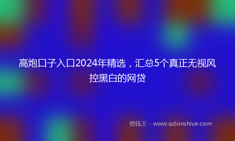 高炮口子入口2024年精选，汇总5个真正无视风控黑白的网贷