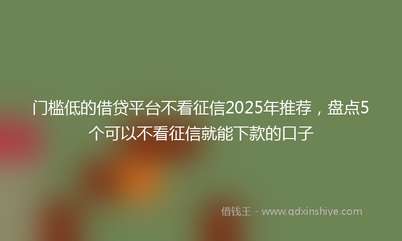 门槛低的借贷平台不看征信2025年推荐，盘点5个可以不看征信就能下款的口子