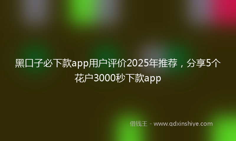 黑口子必下款app用户评价2025年推荐，分享5个花户3000秒下款app