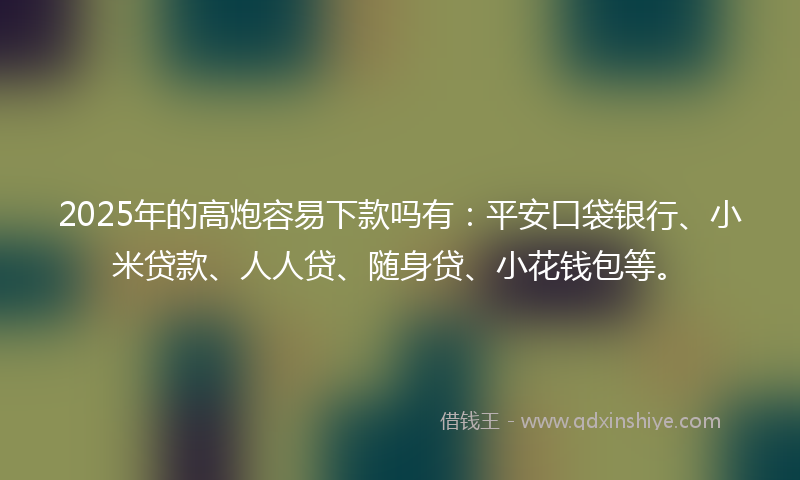 2025年的高炮容易下款吗有：平安口袋银行、小米贷款、人人贷、随身贷、小花钱包等。