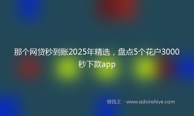 那个网贷秒到账2025年精选，盘点5个花户3000秒下款app