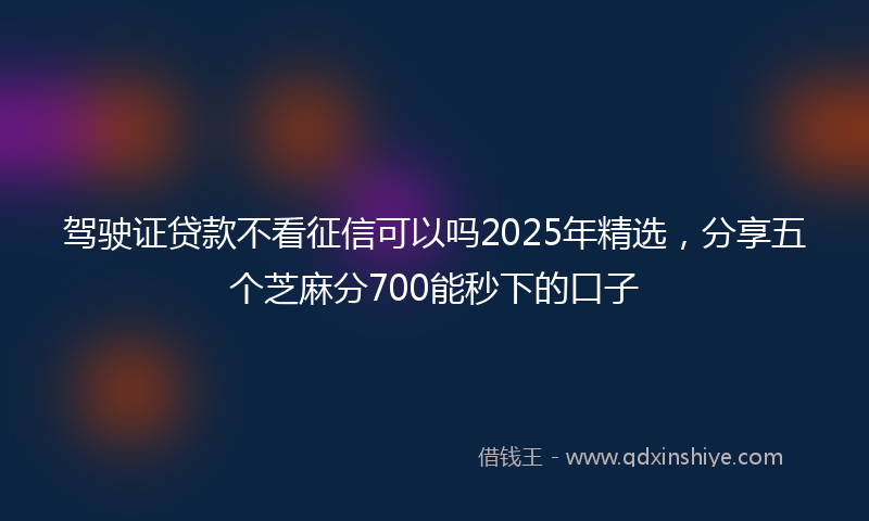 驾驶证贷款不看征信可以吗2025年精选，分享五个芝麻分700能秒下的口子