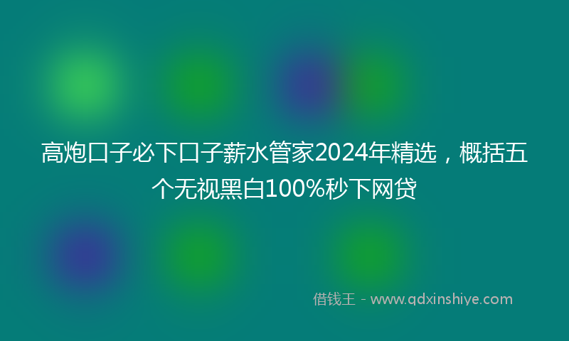 高炮口子必下口子薪水管家2024年精选，概括五个无视黑白100%秒下网贷