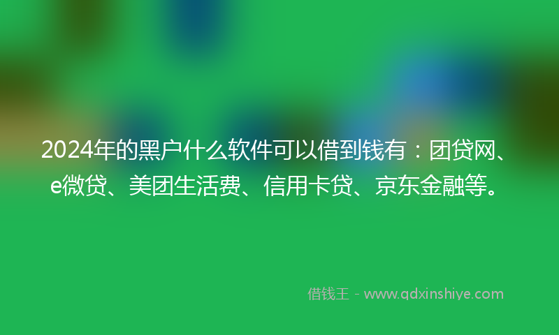 2024年的黑户什么软件可以借到钱有：团贷网、e微贷、美团生活费、信用卡贷、京东金融等。