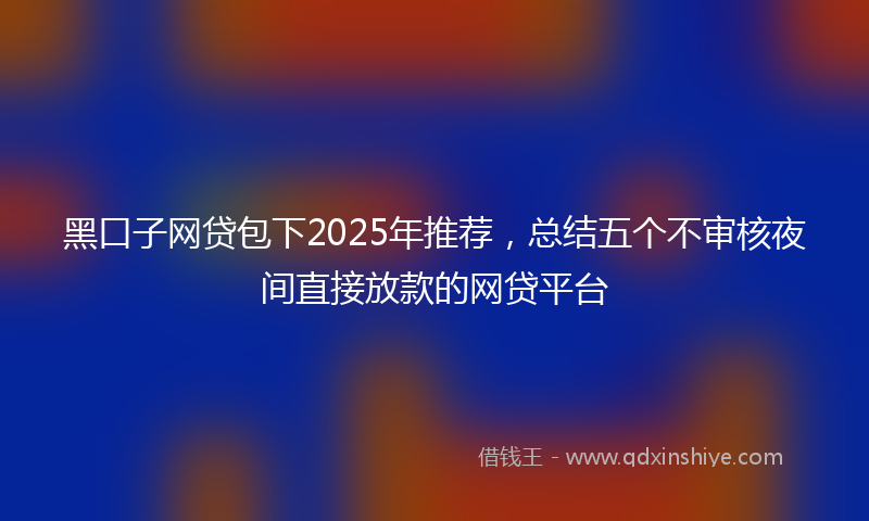 黑口子网贷包下2025年推荐，总结五个不审核夜间直接放款的网贷平台