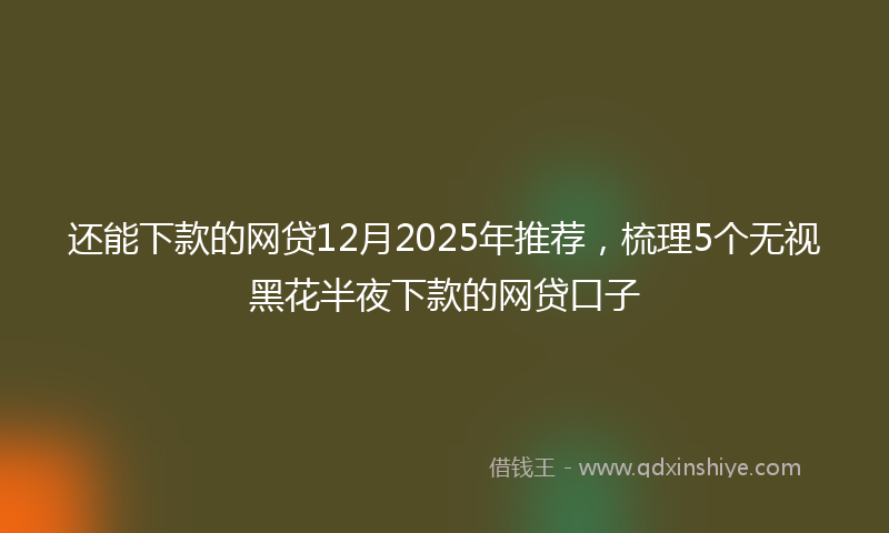 还能下款的网贷12月2025年推荐，梳理5个无视黑花半夜下款的网贷口子