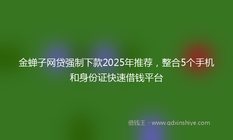 金蝉子网贷强制下款2025年推荐，整合5个手机和身份证快速借钱平台
