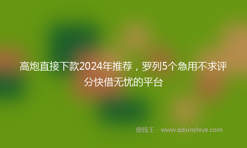高炮直接下款2024年推荐，罗列5个急用不求评分快借无忧的平台