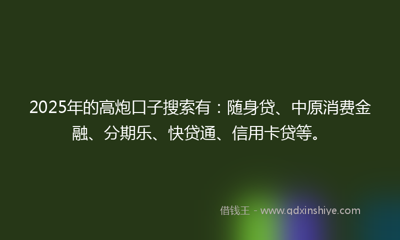 2025年的高炮口子搜索有：随身贷、中原消费金融、分期乐、快贷通、信用卡贷等。