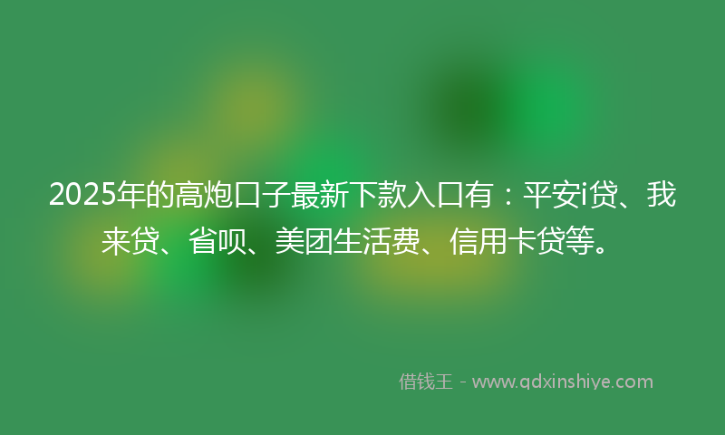 2025年的高炮口子最新下款入口有：平安i贷、我来贷、省呗、美团生活费、信用卡贷等。